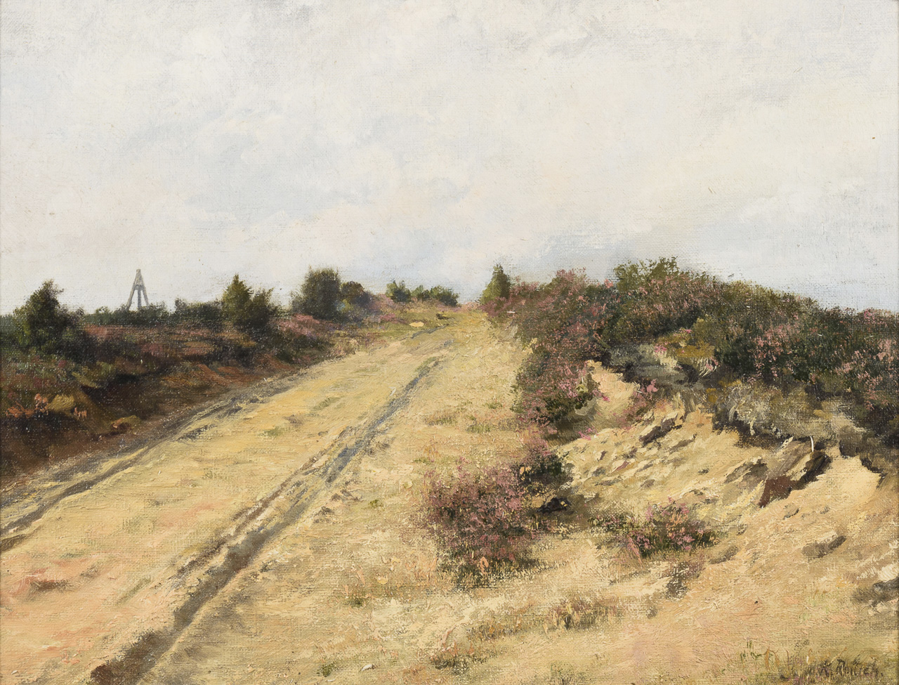Dünenlandschaft
